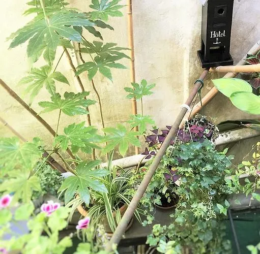 La Marine, Vieux Port Hotel La Rochelle (Charente-Maritime)