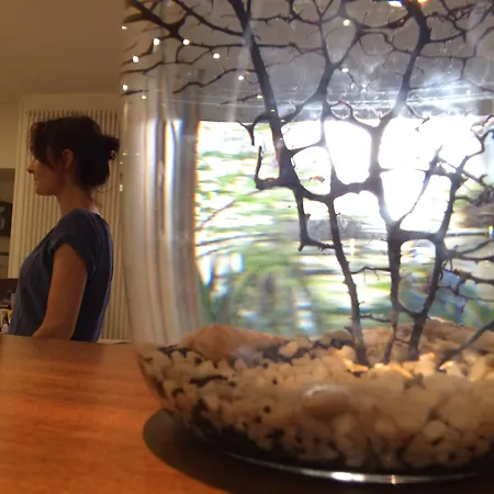 La Marine, Vieux Port Hotel La Rochelle (Charente-Maritime)