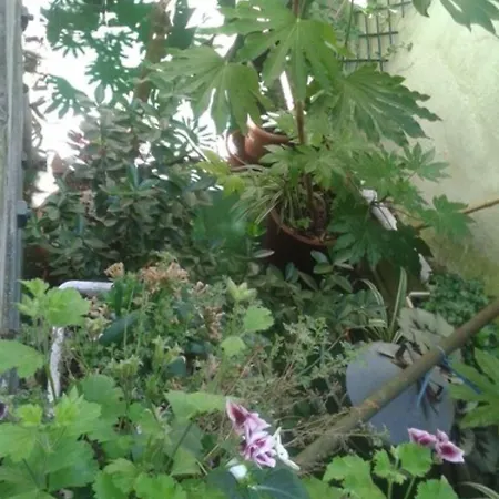 La Marine, Vieux Port ホテル 2*