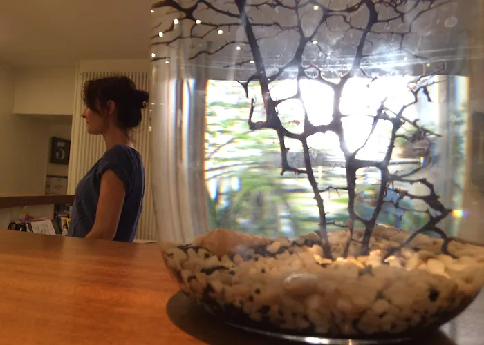 La Marine, Vieux Port Hotel La Rochelle (Charente-Maritime)