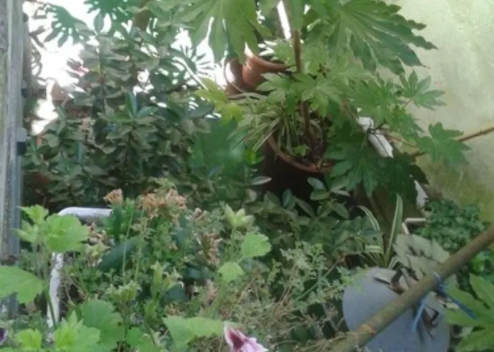 La Marine, Vieux Port Hotel 2*